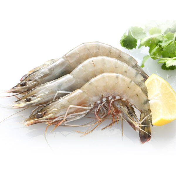 活凍中南美白蝦（50/60-850g）