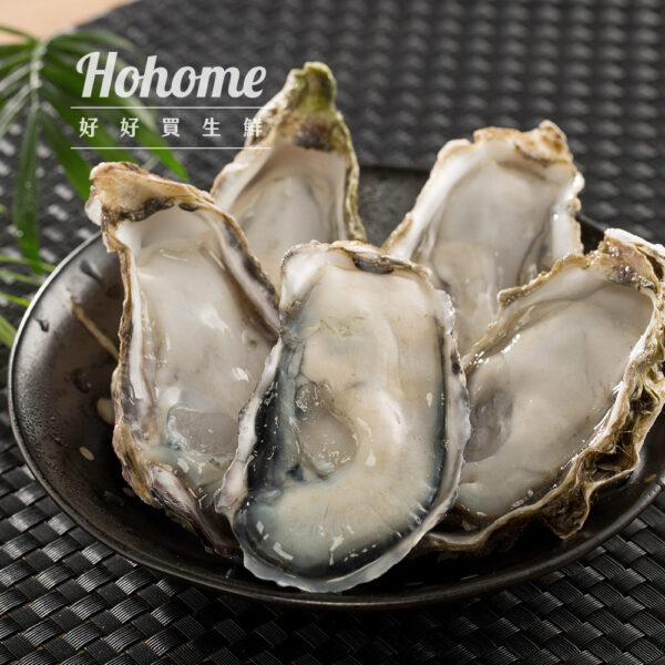 日本兵庫生食生蠔(1Kg約9-11顆)